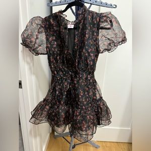 Buddy Love Clementine Organza Dress Small